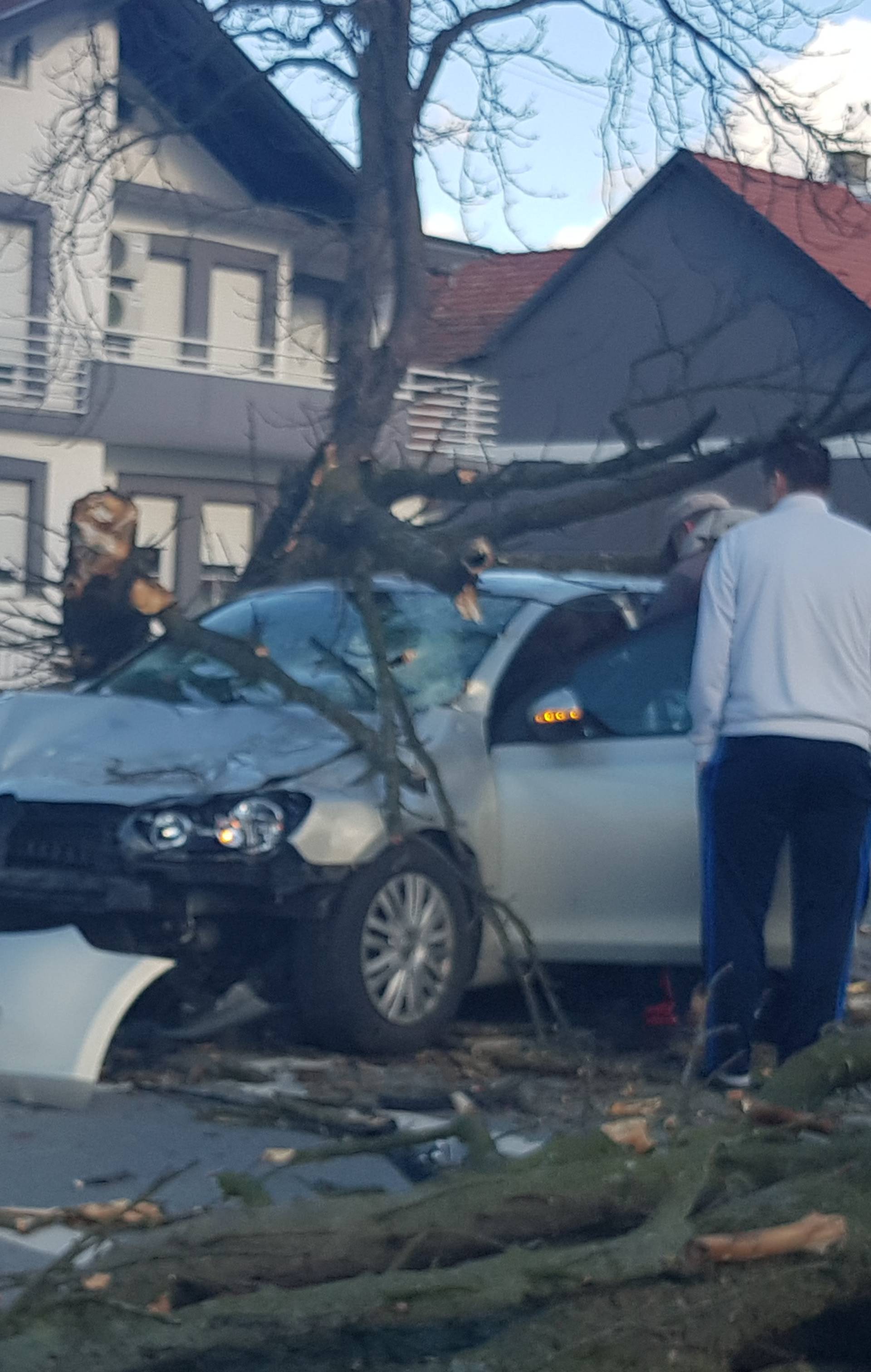 Stablo smrskalo auto u vožnji: Vozačicu spremaju za operaciju