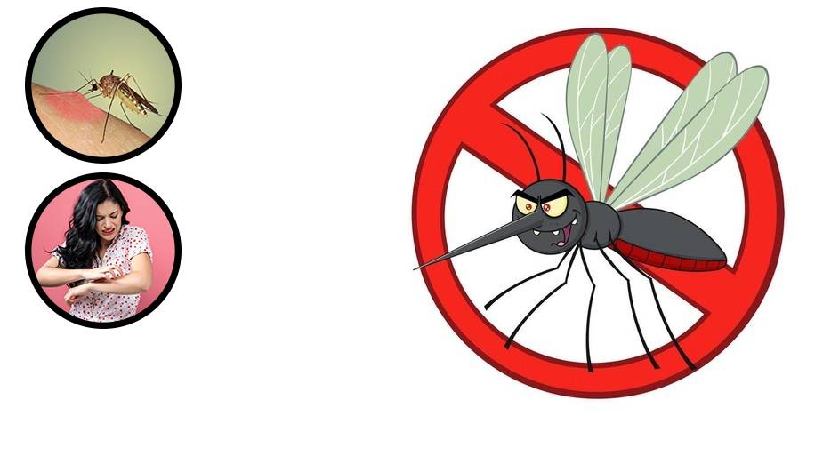 Protiv komaraca garantirano će pomoći samo ovo!