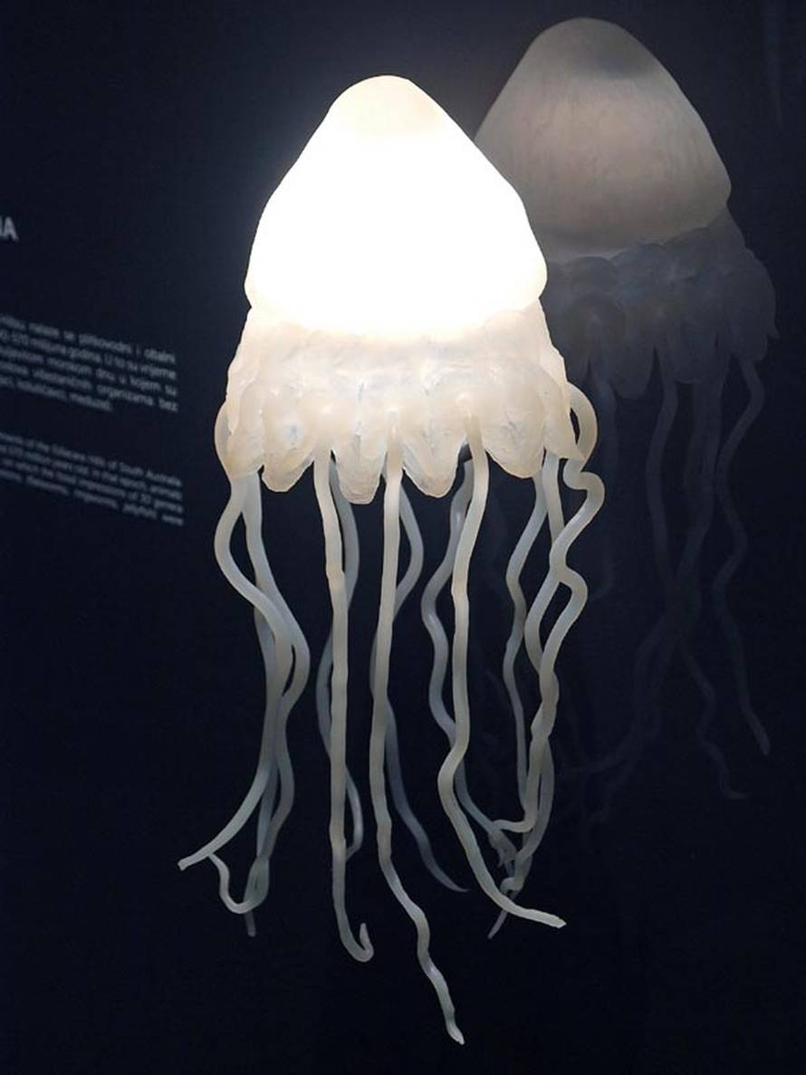 Jeste li čuli za Plemićku rutu? Uvući će vas u jednu posebnu priču o  Slavoniji i Podravini...