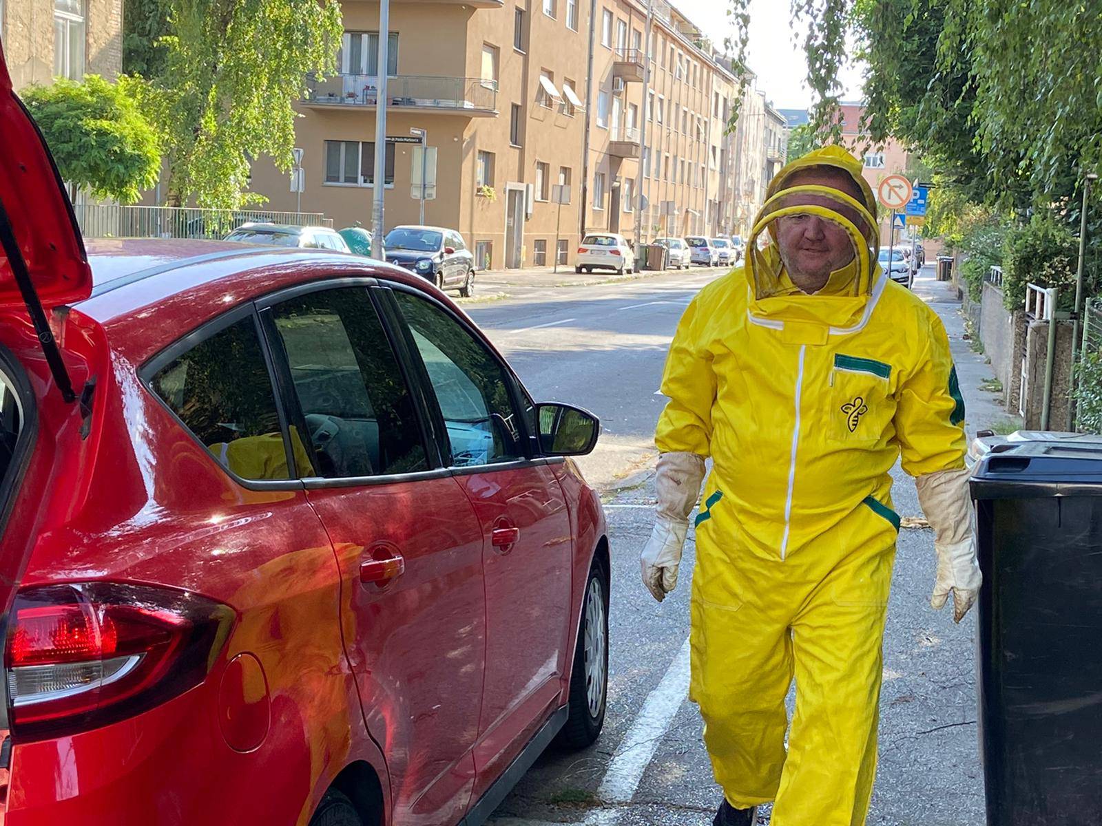 Vjetar je srušio košnicu, a pčelar sakupio pčele i vratio ih unutra