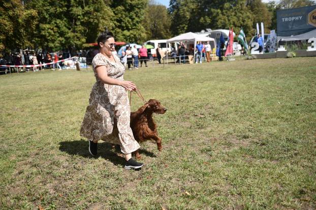 Nacionalna izložba pasa "Velika Gorica Trophy 2025"