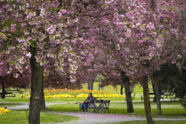 Osijek: Park kralja Petra Krešimira IV 