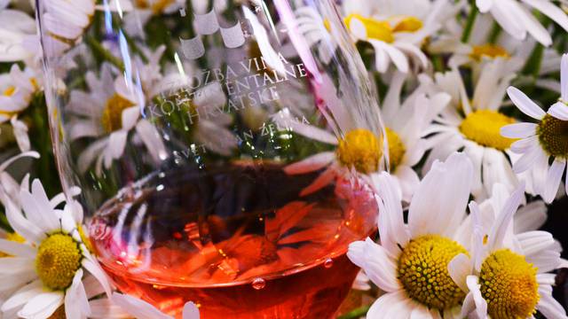 Slavi se 49 godina vrhunskih vina kontinentalne Hrvatske