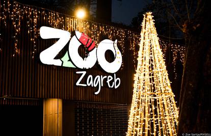 'Polarni advent' otvoren je u zagrebačkom Zoološkom vrtu