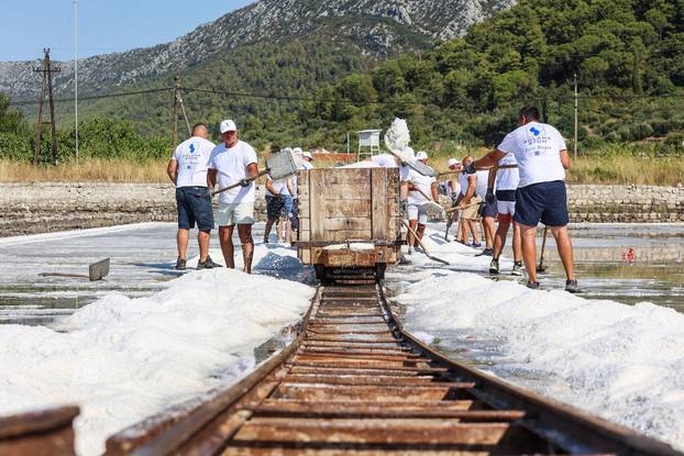 Berba soli u Stonskoj solani