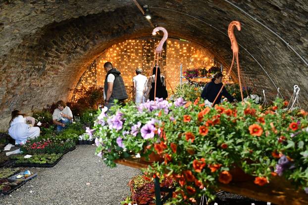 Slavonski Brod: Sajam cvijeća, sadnica, presadnica i cvijetnih dekoracija - Florafest 2026.