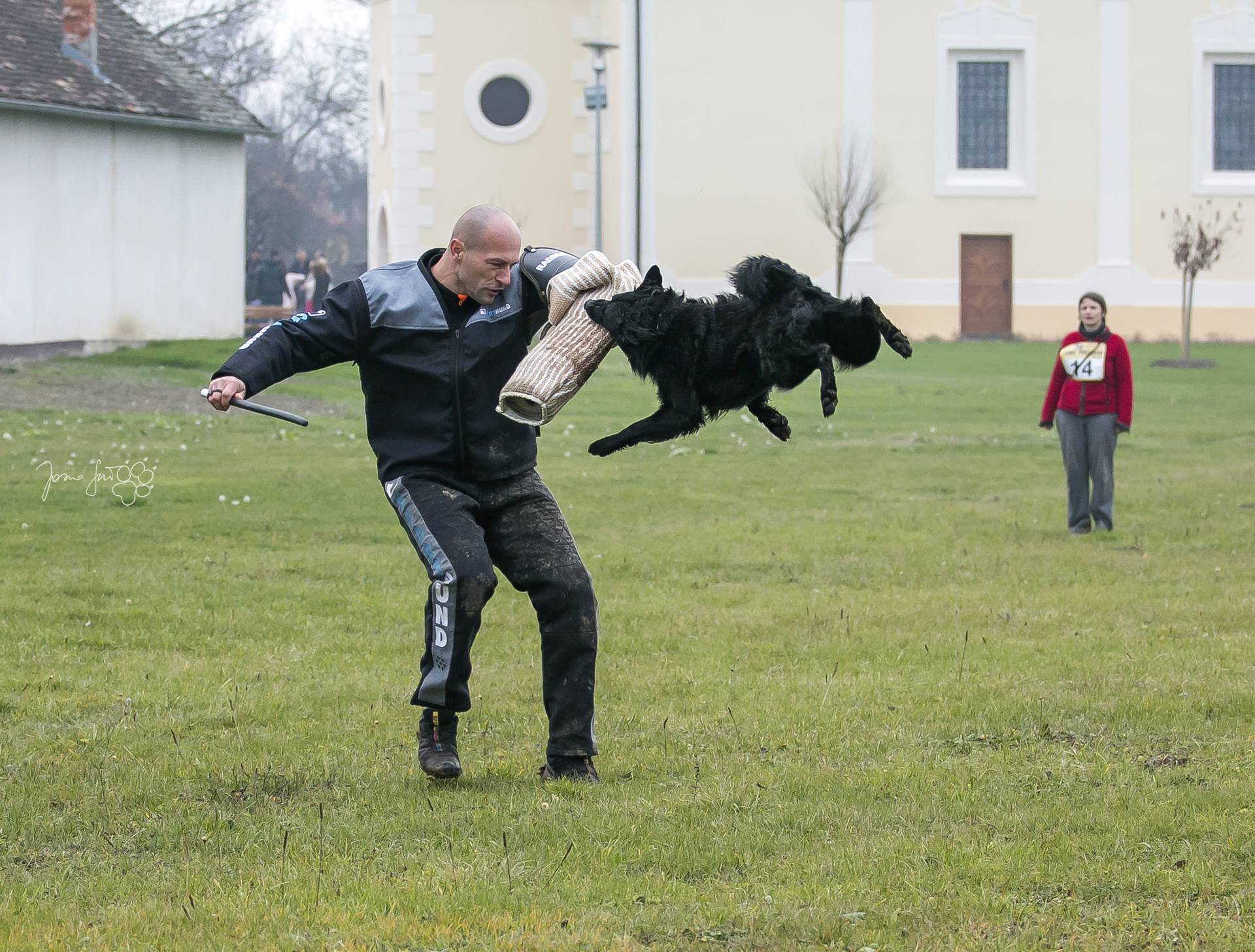 Vlasnik ste hrvatskog ovčara? Pokažite što sve vaš pas može!