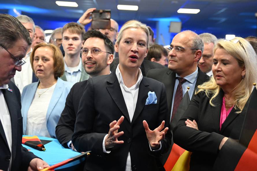 Bundestag election - AFD election party