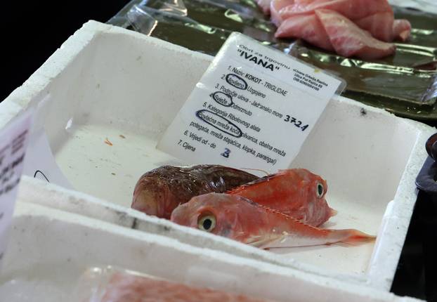 Šibenik: Poskupljenje plavog dizela još se nije odrazilo na cijene u ribarnici