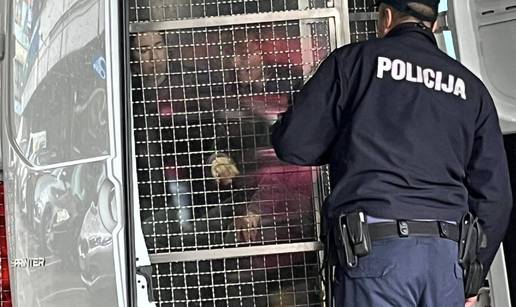 Suludo! Prosvjedovale su pred ministarstvom, doveli su ih u marici: To mogu biti i vaša djeca