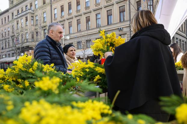 Zagreb: 19. Dan mimoza obilježen na Cvjetnom trgu