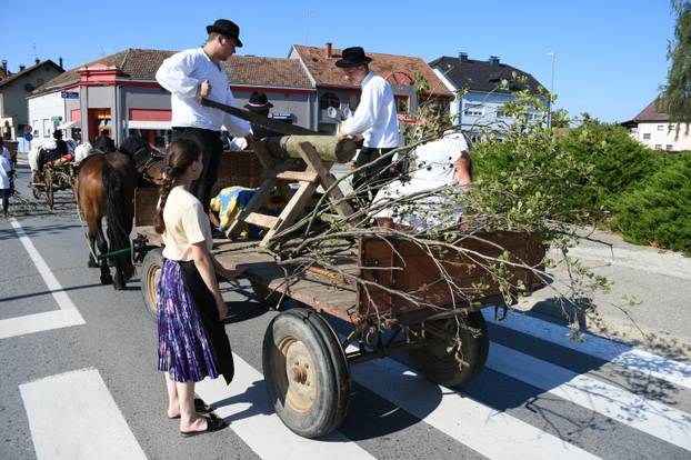 Povorka aranžiranih kola, atrakcija zadnjeg dana Picokijade