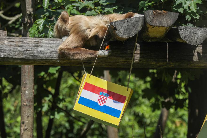 Gibon Kent prognozirao pobjedu Hrvatske protiv Nizozemske u Ligi nacija