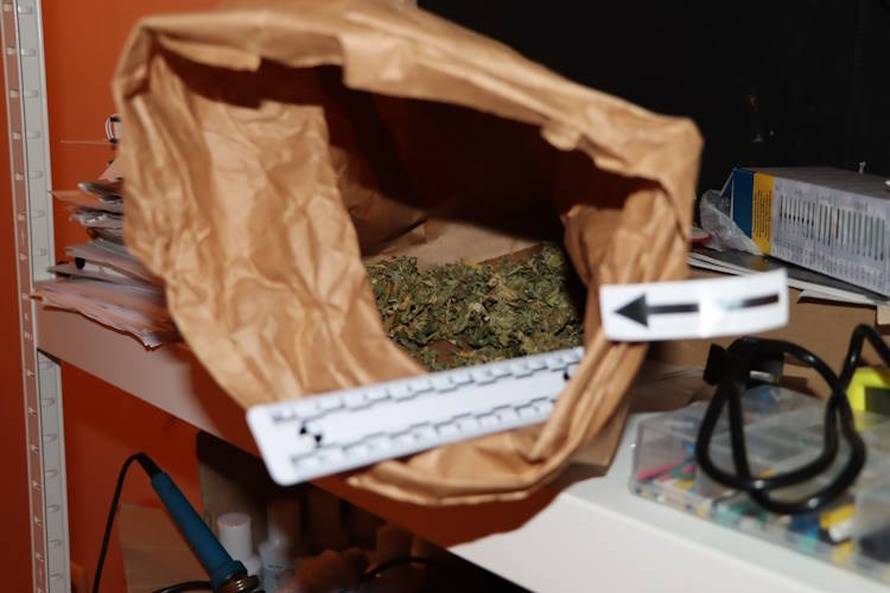 FOTO Narcos iz Desinca. Otkrili labos u dvorištu, uzgajao travu, gljive i kaktuse za meskalin