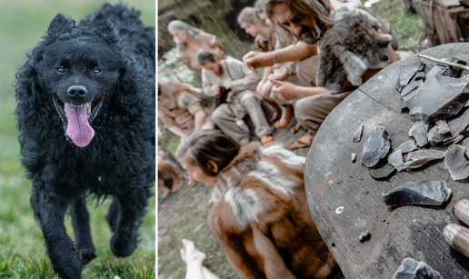 Dva nova istra&zcaron;ivanja otkrivaju: Psi su uz nas mnogo, mnogo du&zcaron;e no &scaron;to smo do sad mislili...