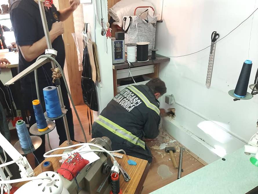 Mačić zapeo u zidu šivaonice, vatrogasci bušili zid da izađe...