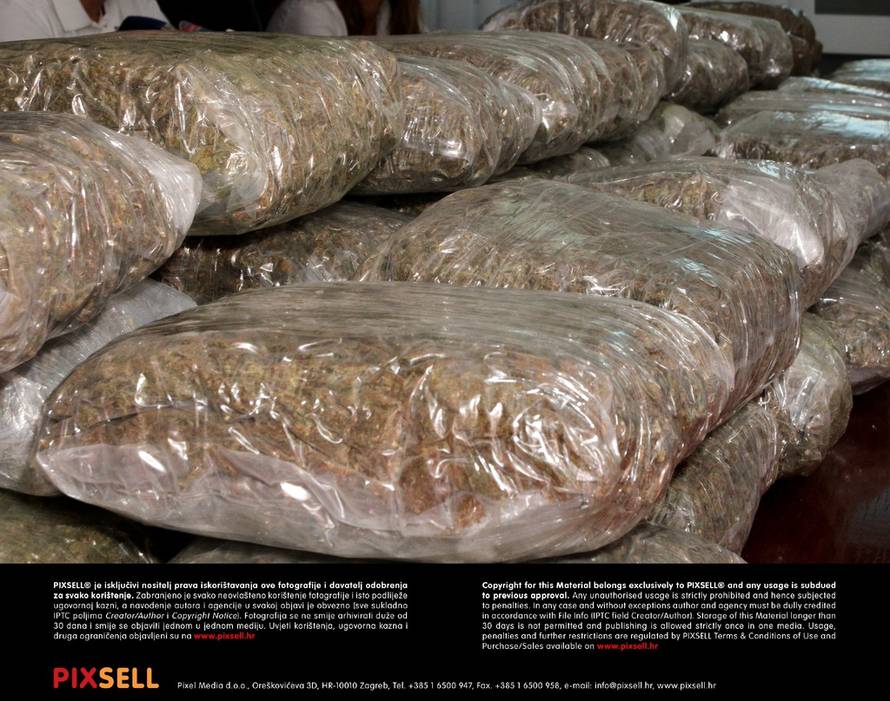 Ivana Ivanović/PIXSELL