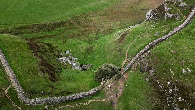 General view of the felled Sycamore Gap in Northumberland.