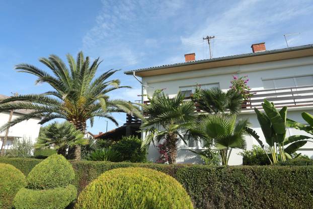 Egzotični vrt Igora Čupića