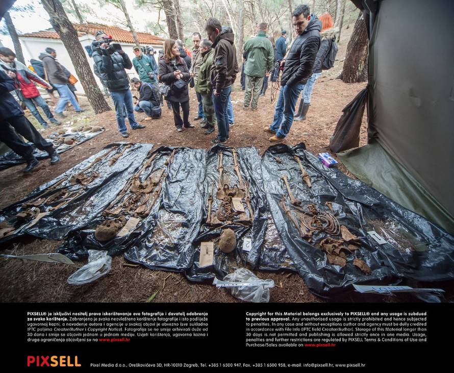 Grgo Jelavić/PIXSELL