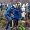 U godinu dana projekta Co2mpensating by planting posađeno preko 75,000 sadnica