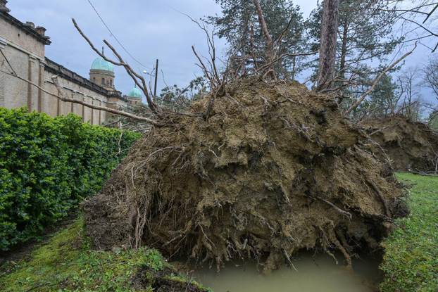 Zagreb: U nevremenu teško  oštećeno gradsko groblje Mirogoj