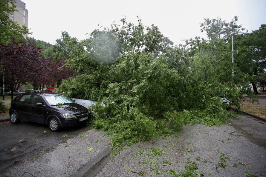 Zagreb: Na četiri automobila srušilo se stablo tijekom nevremena