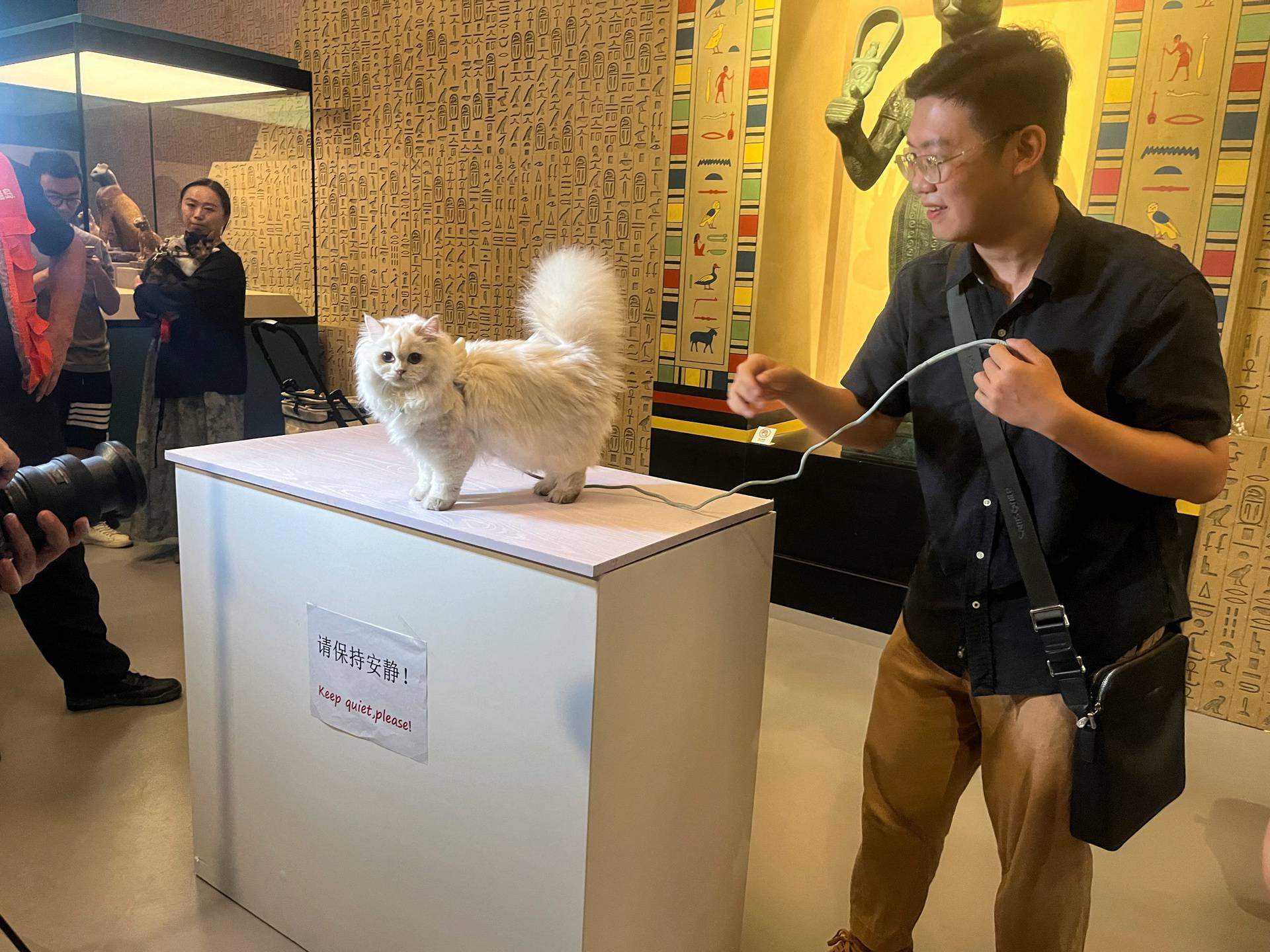 A cat visitor prepares to have its photo taken in front of a statue depicting the cat goddess Bastet at Shanghai Museum's "Meow Night\