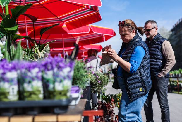 Zagreb: Izložba biljaka Plant market