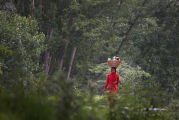 A Kashmiri woman carries traditional teapot called samovar in a basket on her head, as she walks on a road on the outskirts of Srinagar