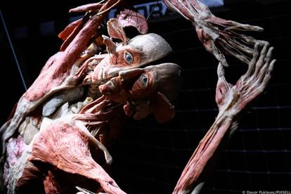 Zagreb: Konferencija uoči otvorenja izložbe seciranih ljudskih tijela Body Worlds Vital