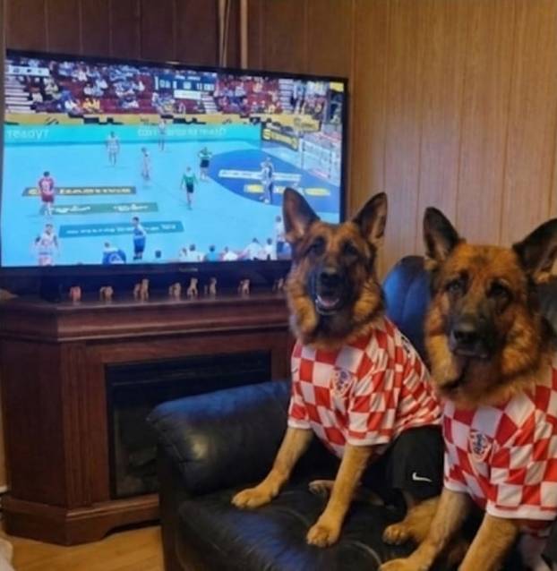 FOTO Čak su i njemački ovčari za nas! Ovako se hrvatski navijači nabrijavaju za polufinale Eura