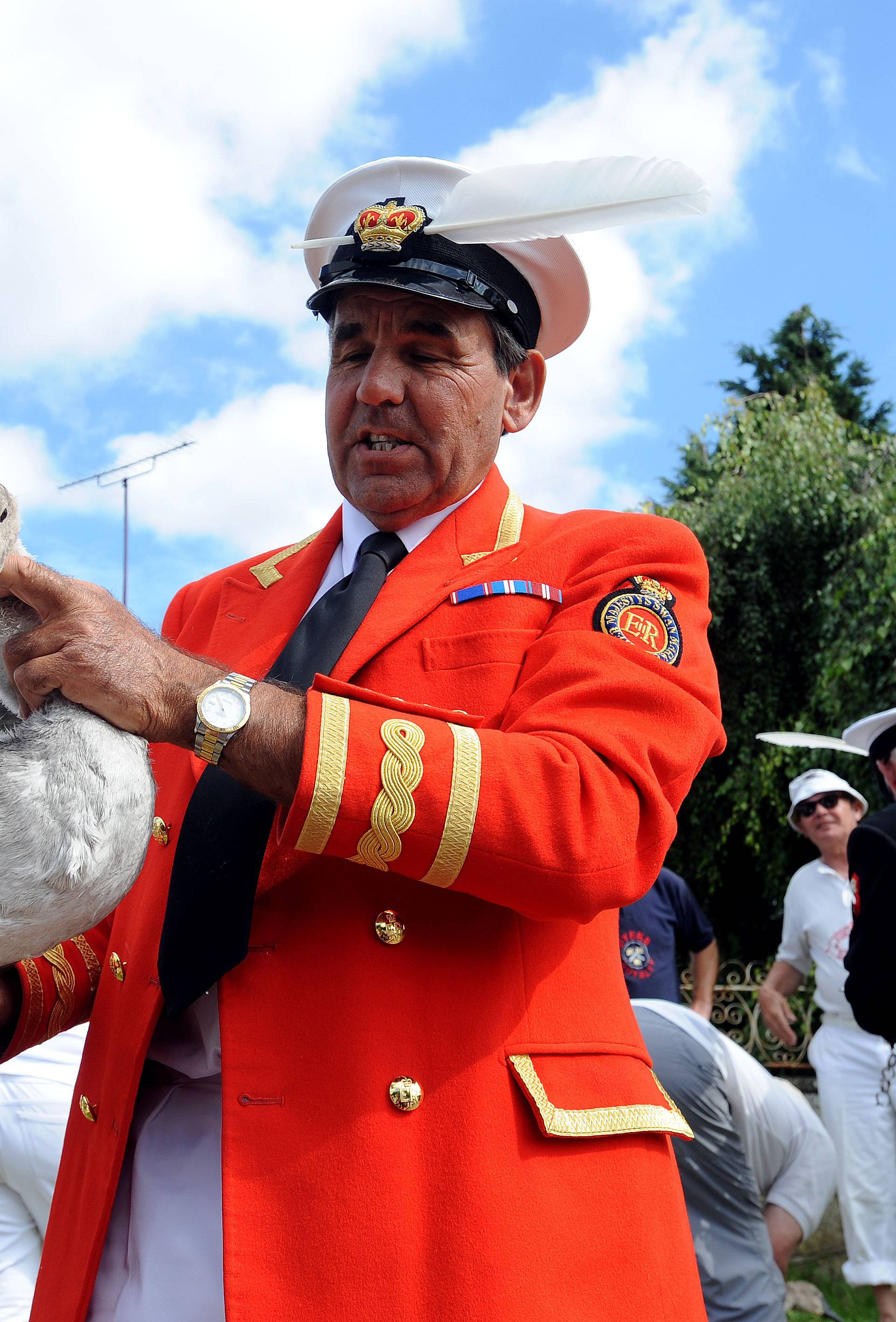 River Thames annual Swan Upping