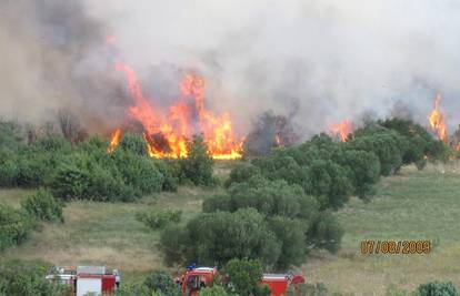 Izbio požar kraj Vodica, gori osam hektara šume