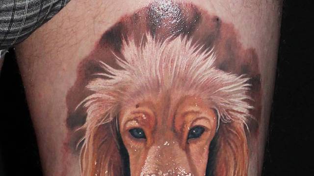 Oduzimaju dah: Jeste li ikada vidjeli realističnije tetovaže?