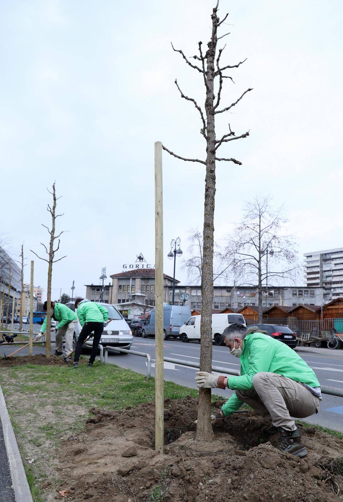 Aktivisti Greenpeace-a u Zagrebu zasadili novi drvored