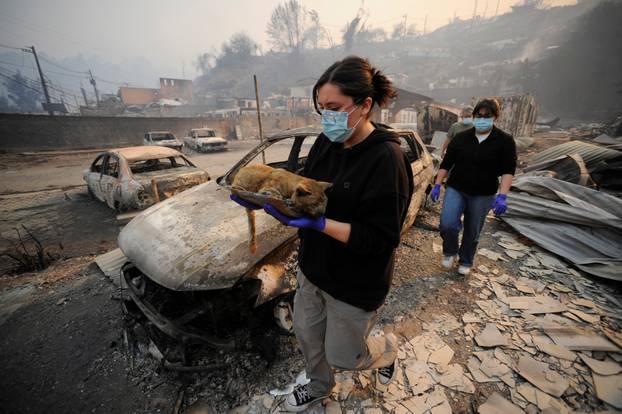 Wildfire burns in Chile
