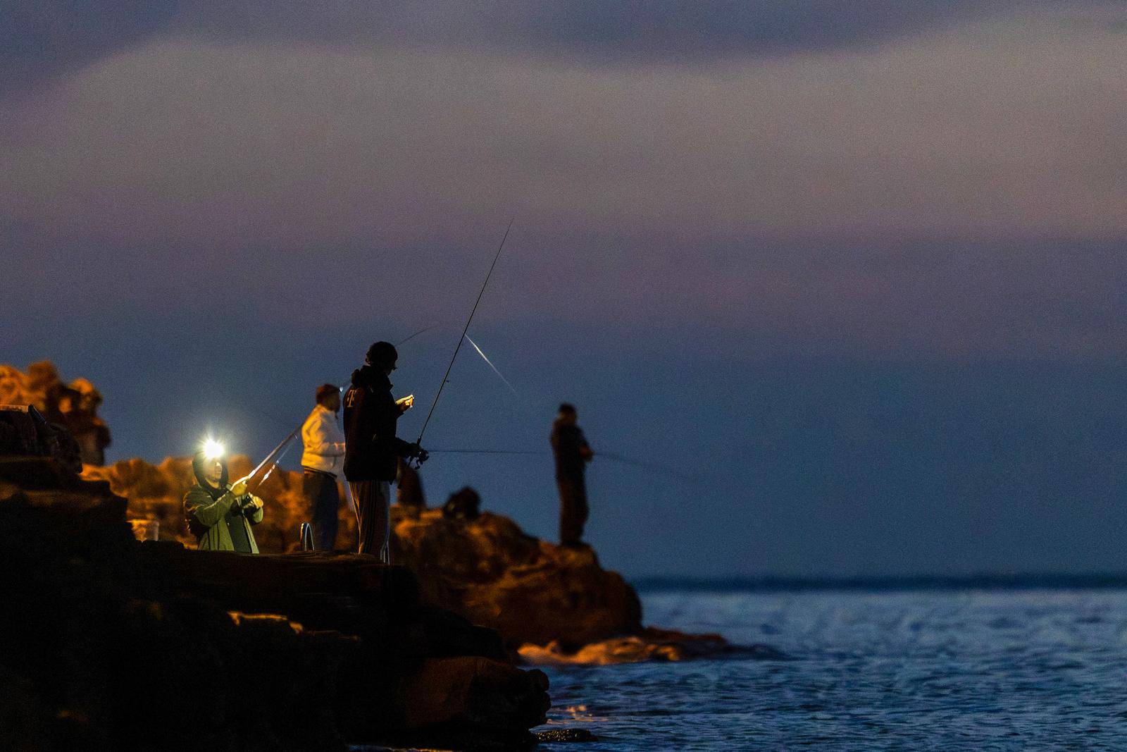 Pula: Noćni lov na lignje 