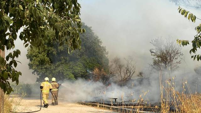 Požar u Splitu: Gorjelo u blizini obiteljskih kuća na Firulama
