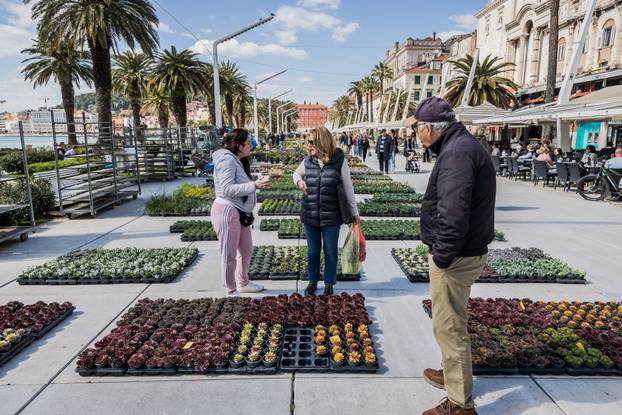 Otvorenje 49. sajma cvijeća u Splitu