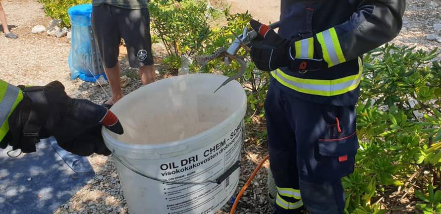 Zmije u Rovinju: Ujutro bjelica u stanu, kasnije poskok u kampu!