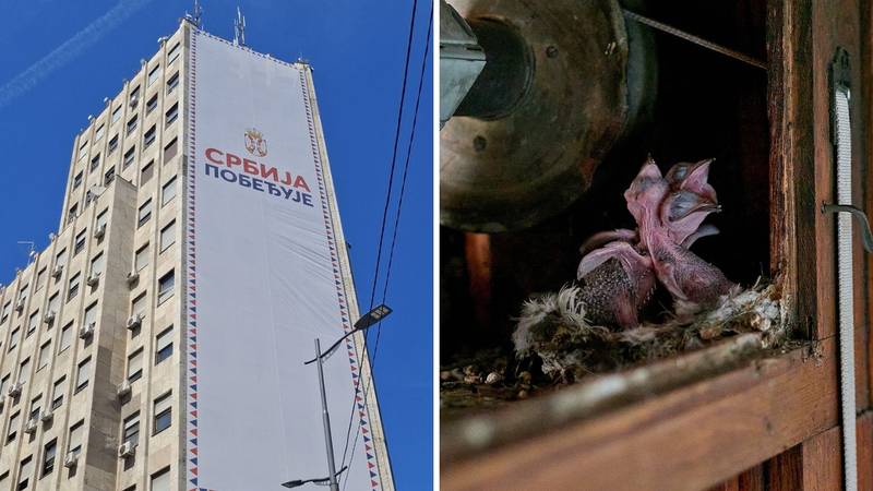 FOTO Potez Vučića i SNS-a ubija ugrožene ptice u Beogradu: 'Taj plakat odmah mora dolje!'