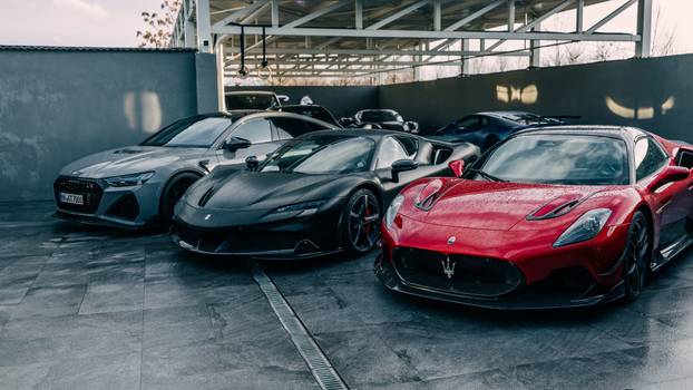 FOTO Vlasti će zaplijeniti 2,6 mil. funti braći Tate: Hvale se jurilicama, tigrovima, avionima