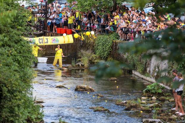 Čabar: Utrka 1600 gumenih patkica