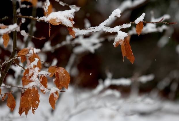 Na Platku je pao snijeg