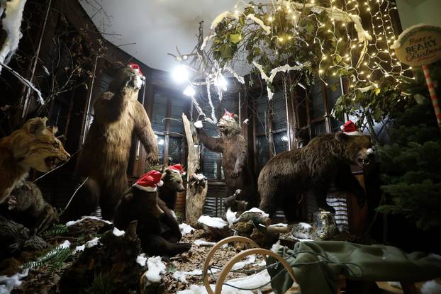 Zagreb: Lovački Advent na Tuškancu