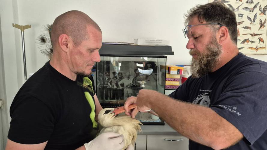 FOTO Bijela roda zapetljala se u mrežu gola u Zagrebu: 'Sanirali smo ranu, pratimo kud se kreće'