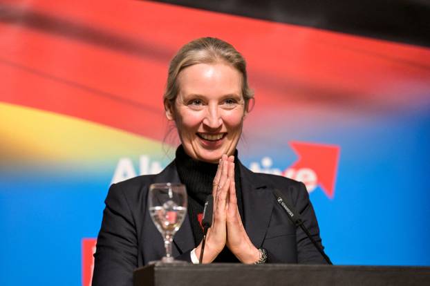 Alternative for Germany party (AfD) meeting, in Hamburg