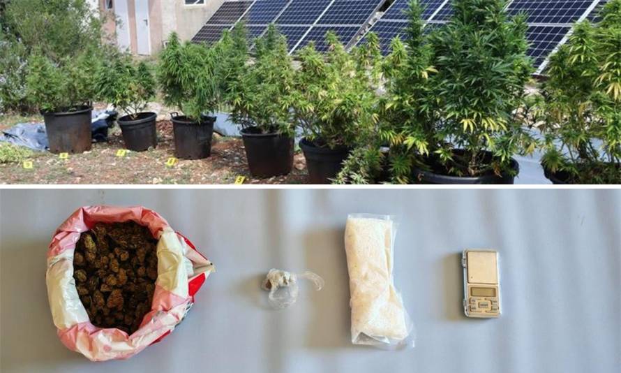 Policajci su na Hvaru našli plantažu marihuane, otkrili su i dilera speeda iz Trogira...
