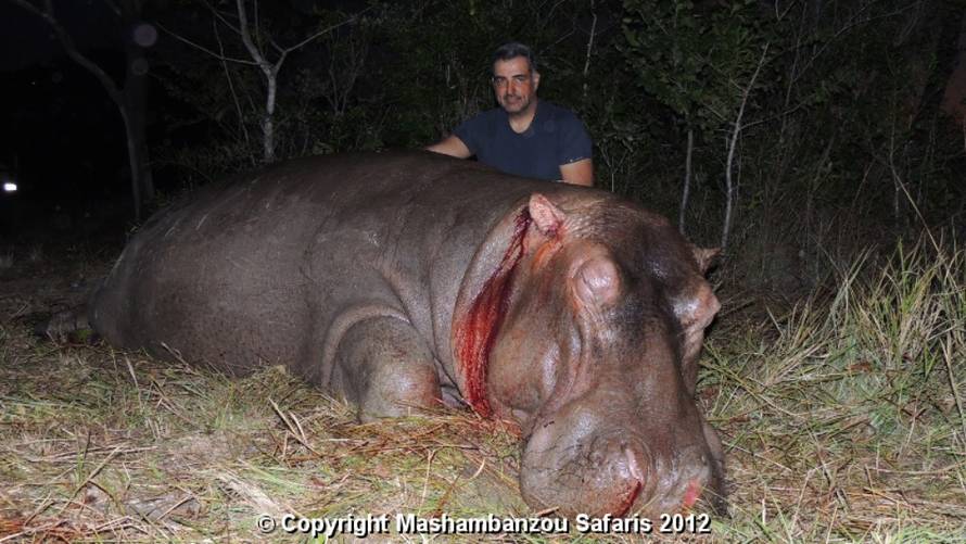 Mashambanzousafaris.com